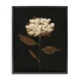 thumbnail image 1 of Stupell Industries Fade Into Fall Bloom Botanical & Floral Painting Black Floater Framed Art Print Wall Art, 17 x 21, 1 of 10