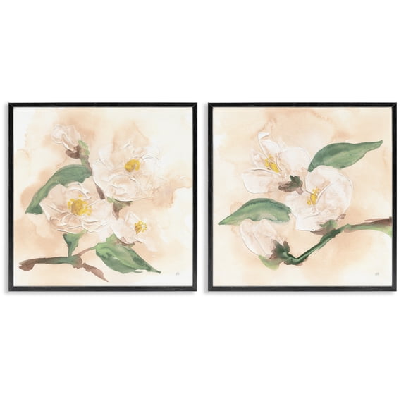 Stupell Industries Faded Dimensional Magnolias 2 Piece Black Framed Giclee Art Set design by Chris Paschke, 12 x 12