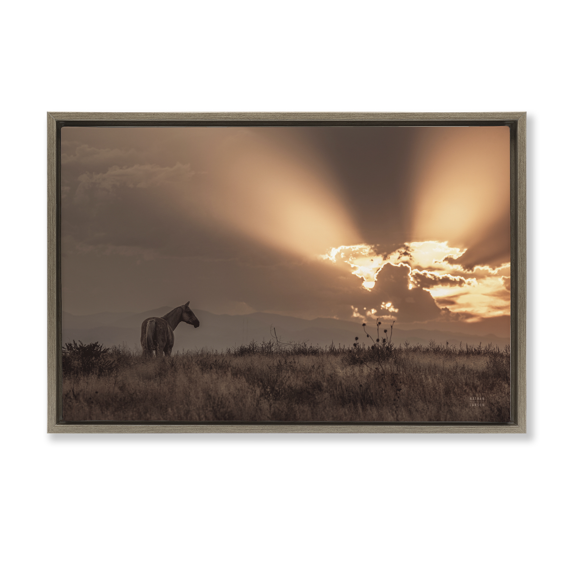 Stupell Industries Faded Sunset with Horse Landscape & Nature Photography Brown Floater Framed Canvas Art Print Wall Art, 25 x 17