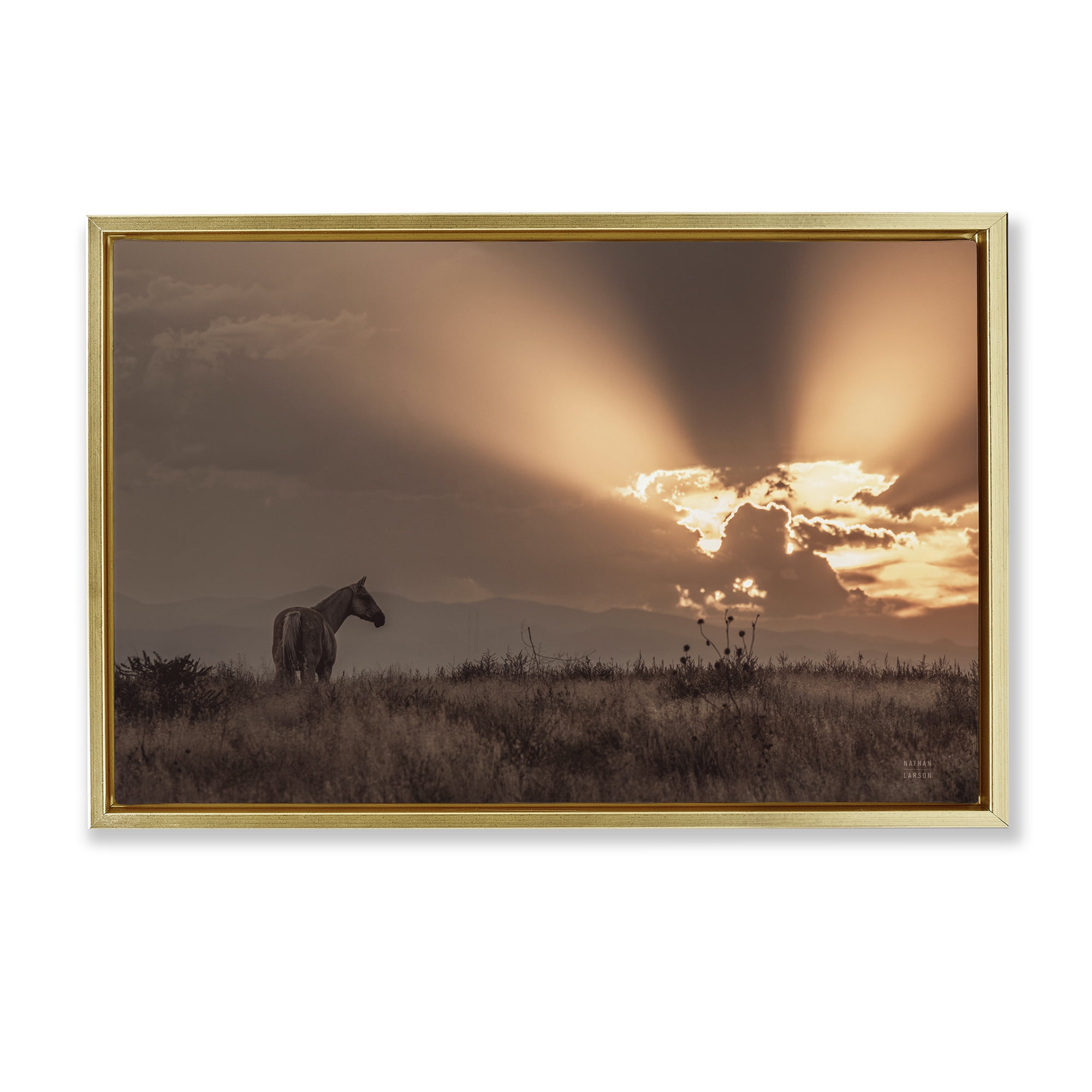 Stupell Industries Faded Sunset with Horse Landscape & Nature Photography Gold Floater Framed Canvas Art Print Wall Art, 31 x 21
