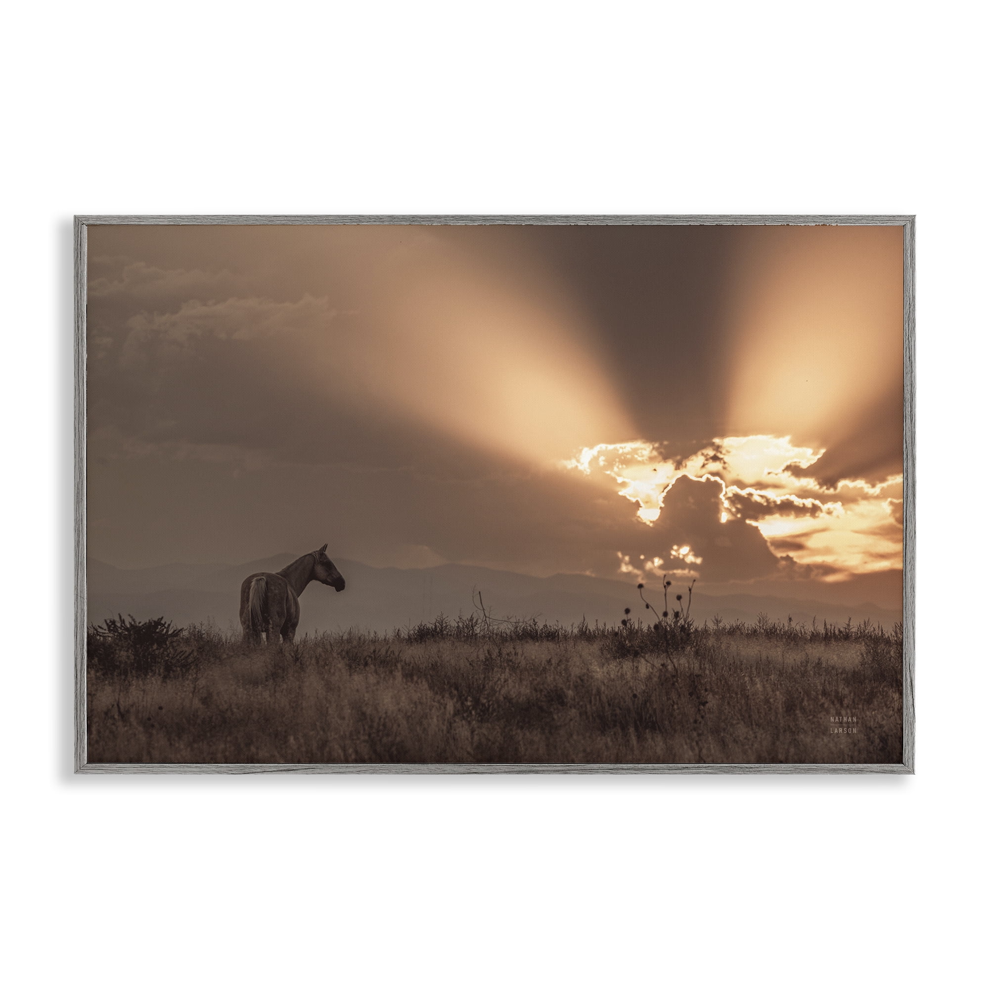 Stupell Industries Faded Sunset with Horse Landscape & Nature Photography Gray Framed Art Print Wall Art, 18 x 12
