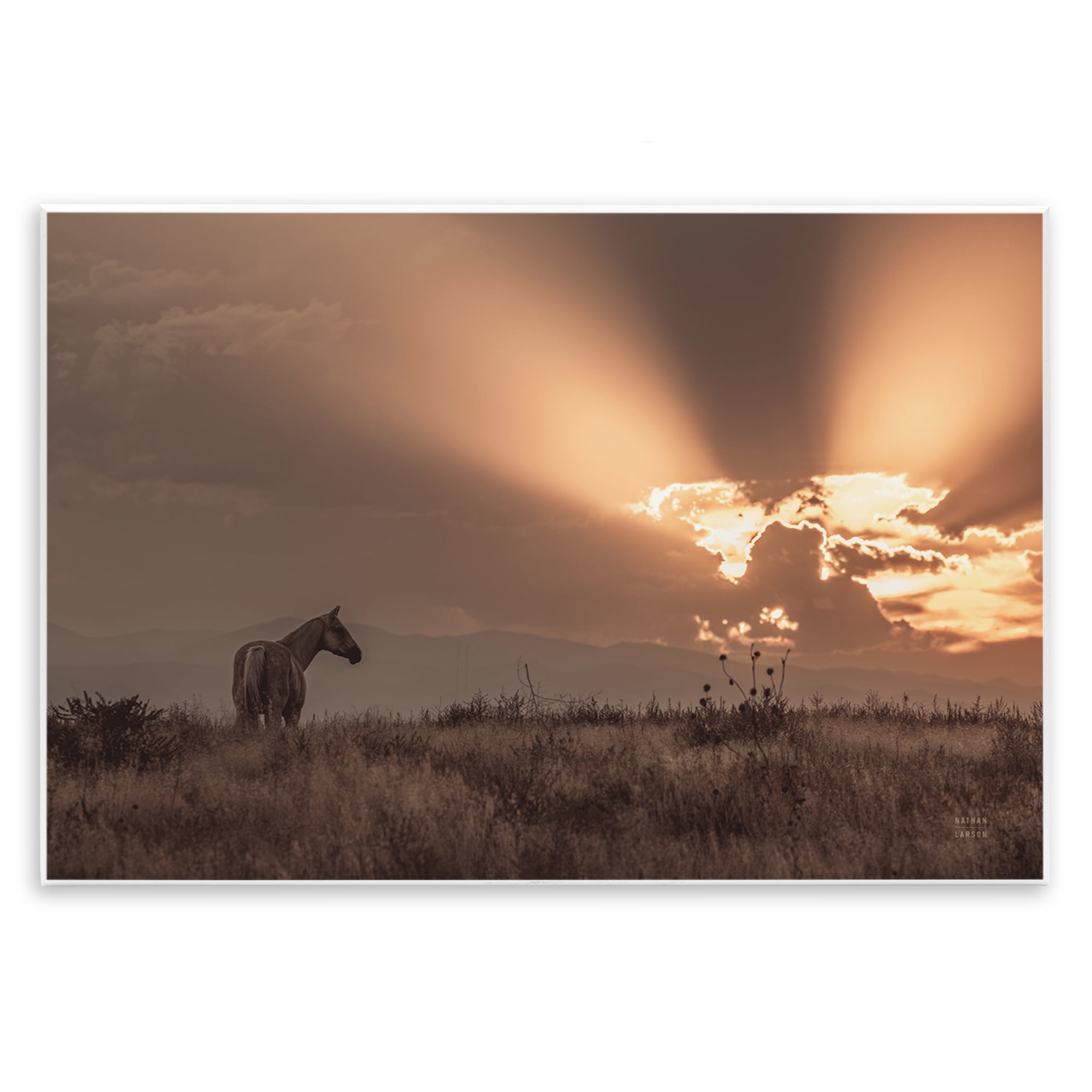Stupell Industries Faded Sunset with Horse Landscape & Nature Photography Unframed Art Print Wall Art, 19 x 13