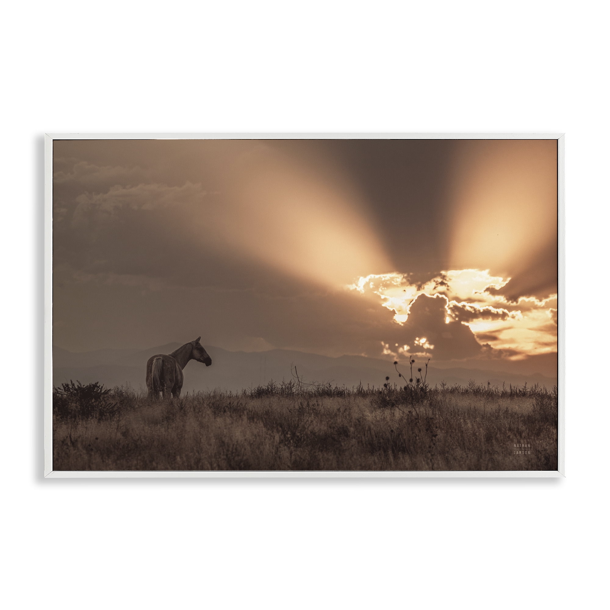 Stupell Industries Faded Sunset with Horse Landscape & Nature Photography White Framed Art Print Wall Art, 18 x 12