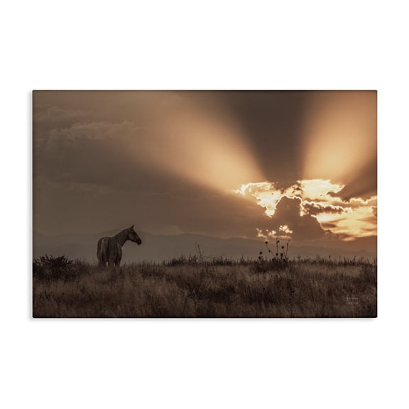 Stupell Industries Faded Sunset with Horse Landscape & Nature Photography Wrapped Canvas Art Print Wall Art, 36 x 24