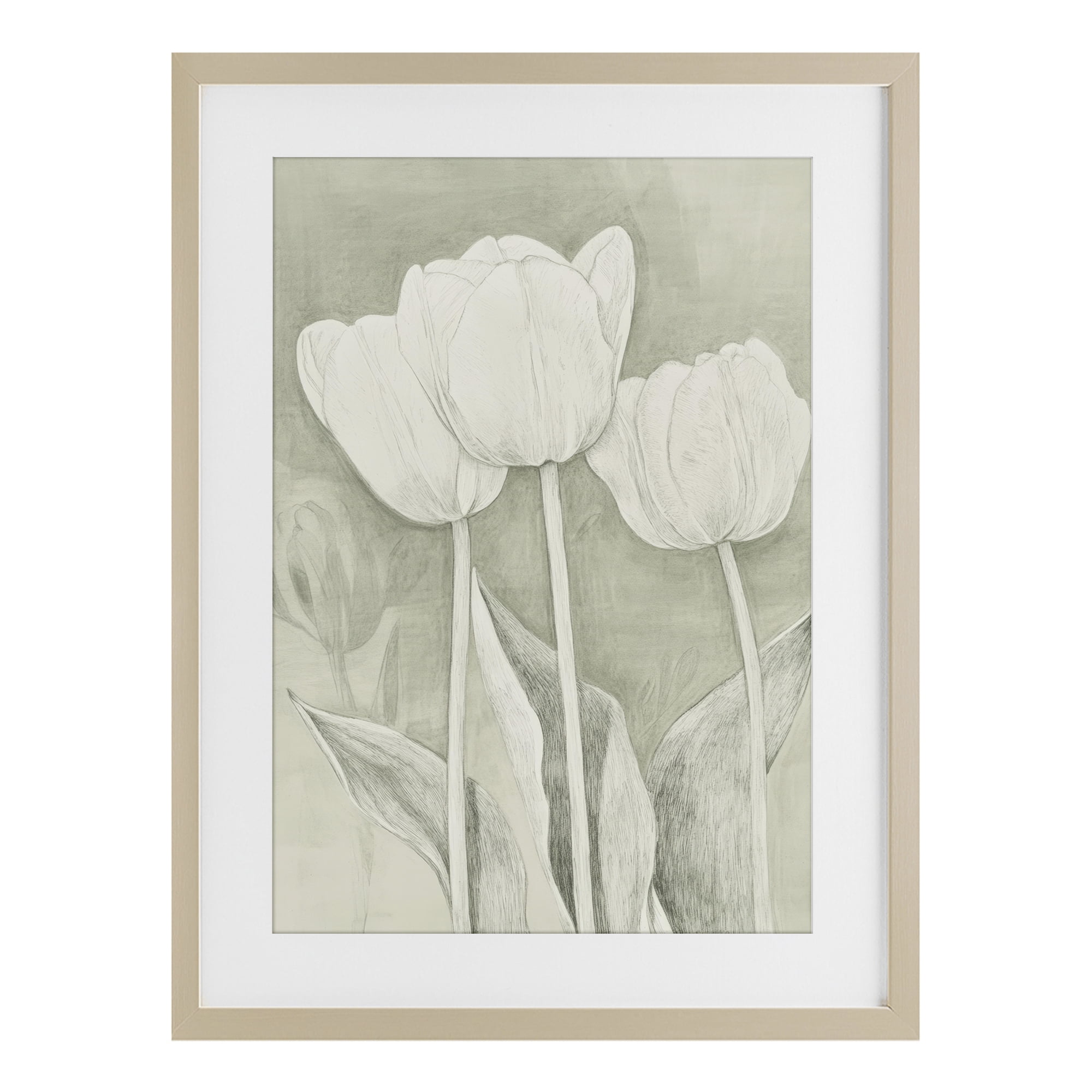 Stupell Industries Faded Tulips Pencil Sketch Birch Framed Print Under Glass, design by Petal Prints Design