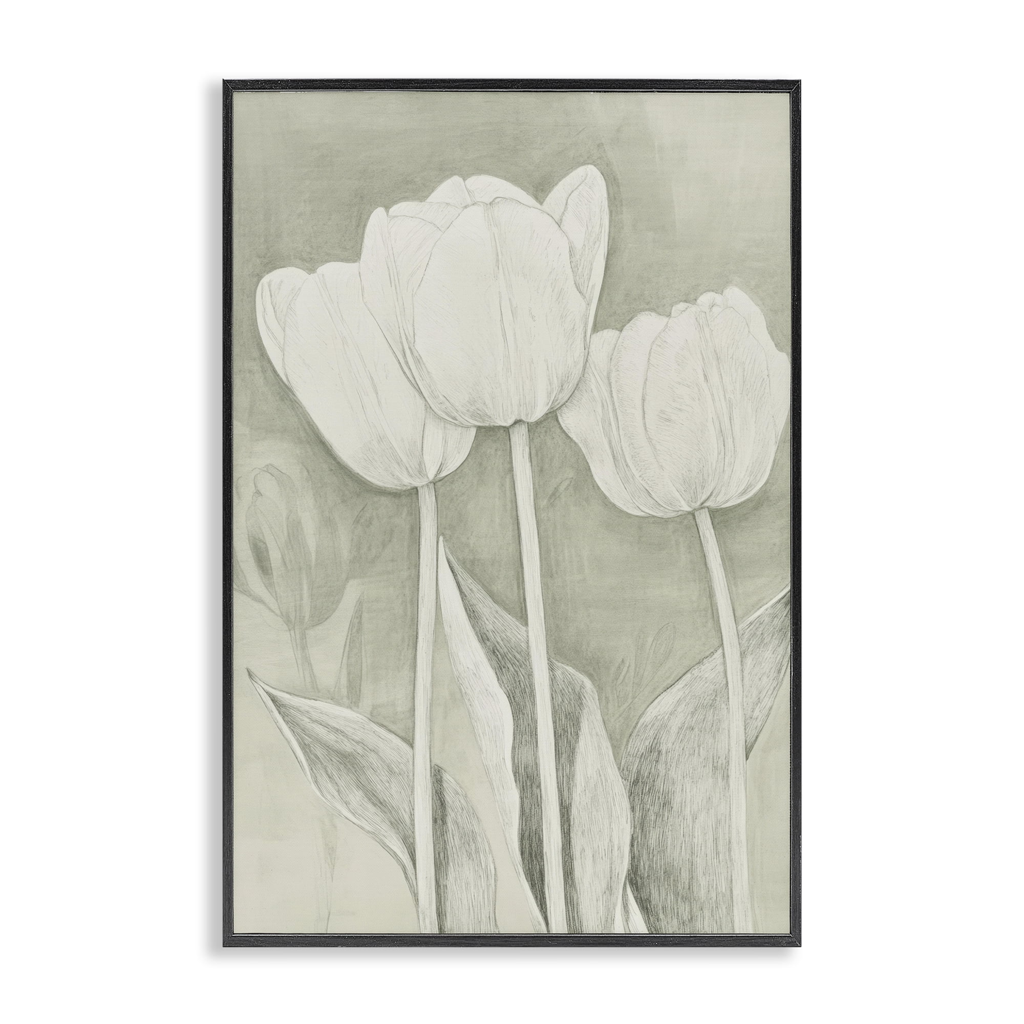 Stupell Industries Faded Tulips Pencil Sketch Black Framed Giclee Art, design by Petal Prints Design