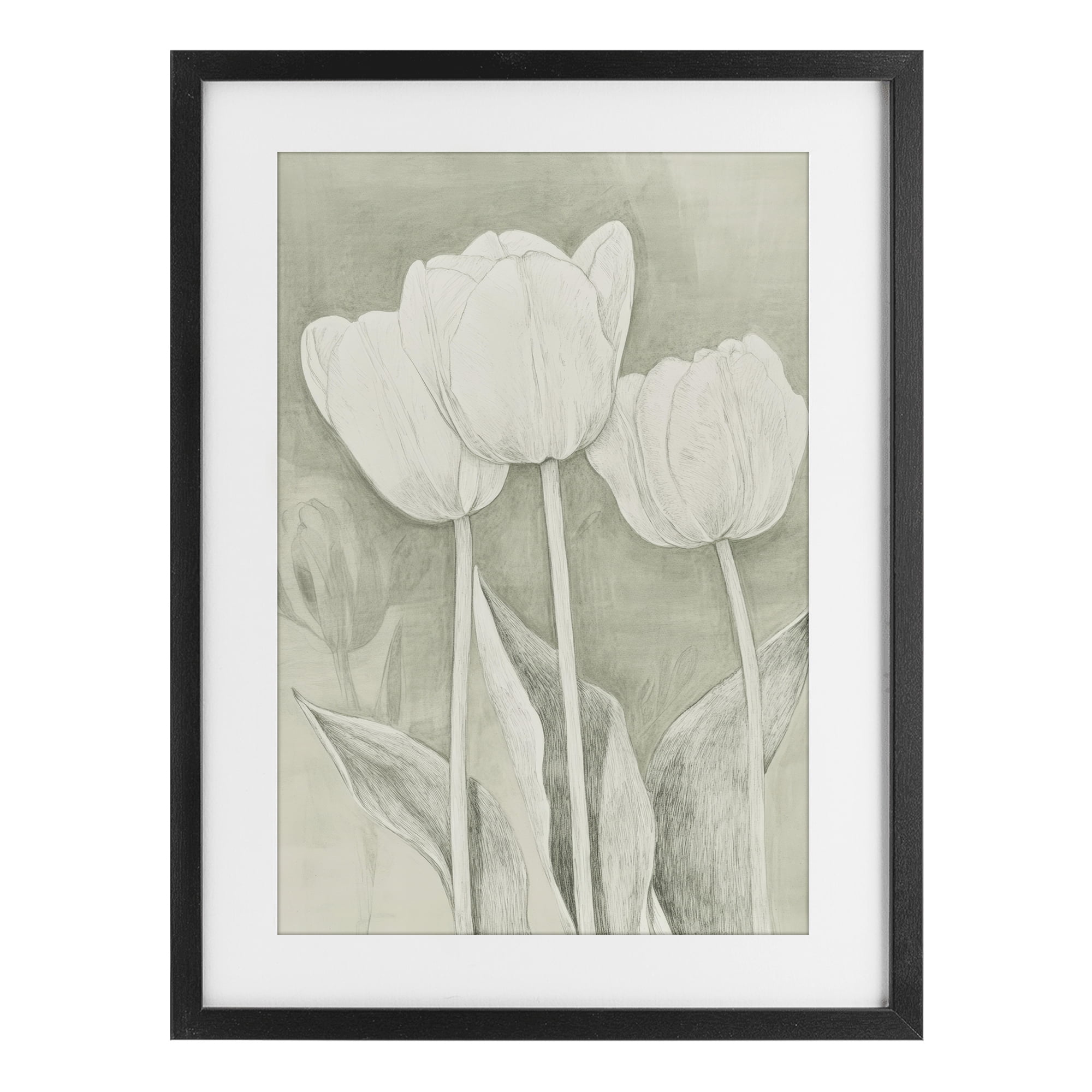 Stupell Industries Faded Tulips Pencil Sketch Black Framed Print Under Glass, design by Petal Prints Design
