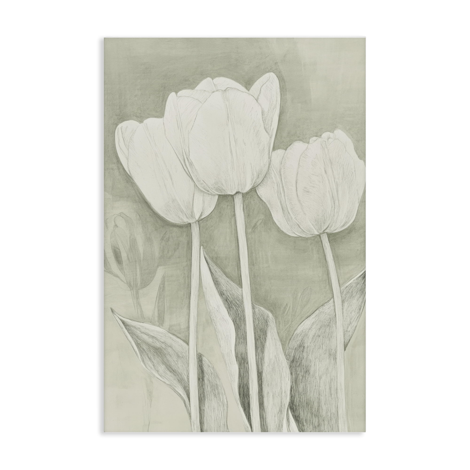 Stupell Industries Faded Tulips Pencil Sketch Canvas Wall Art, design by Petal Prints Design