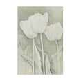 thumbnail image 1 of Stupell Industries Traditional Faded Tulips Pencil Sketch Canvas Art, 16 x 24, by Petals Prints Design, 1 of 8