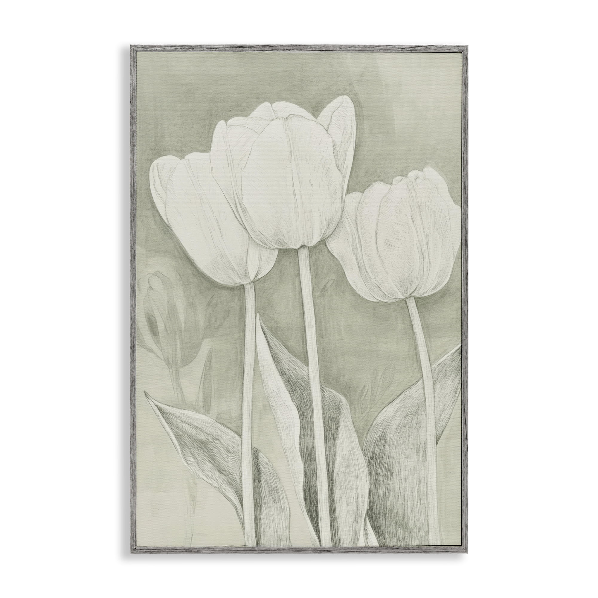 Stupell Industries Faded Tulips Pencil Sketch Gray Framed Giclee Art, design by Petal Prints Design