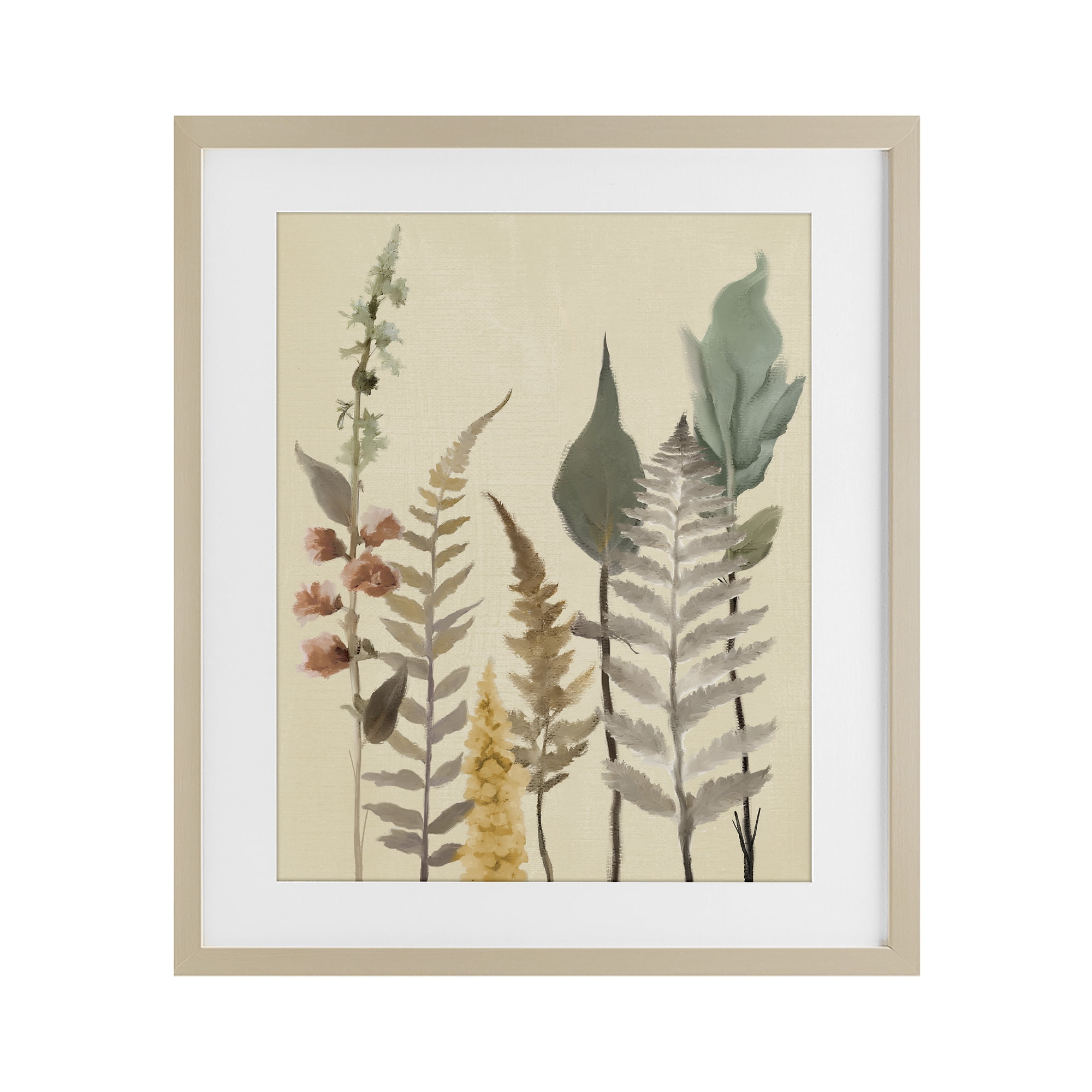 Stupell Industries Fall Botanicals Forest Ferns Birch Framed Print Under Glass, design by Elizabeth Medley