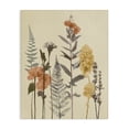 thumbnail image 1 of Stupell Industries French Country Fall Botanicals Fresh Ferns Canvas Art, 36 x 48, by Elizabeth Medley, 1 of 8