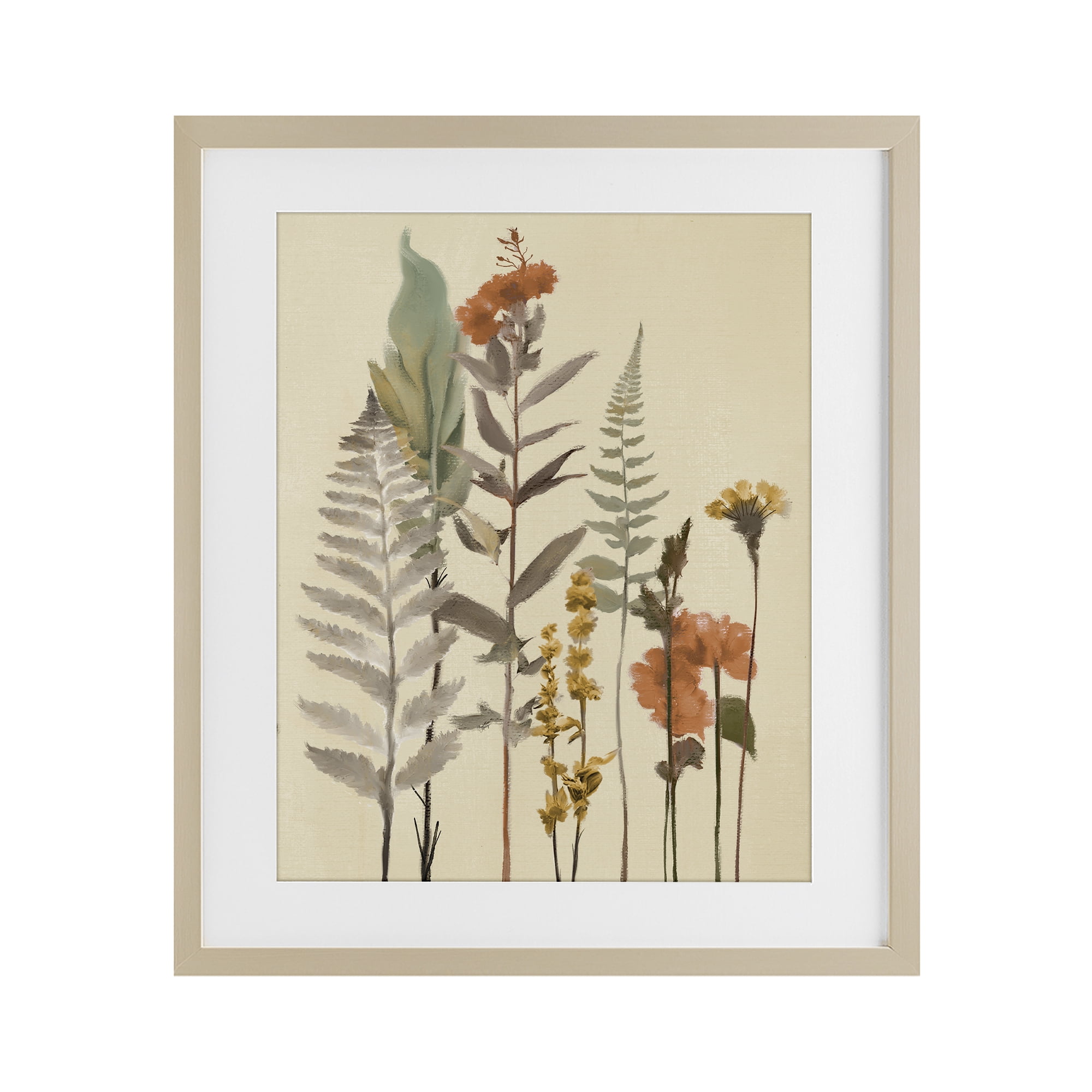 Stupell Industries Fall Botanicals and Ferns Birch Framed Print Under Glass, design by Elizabeth Medley