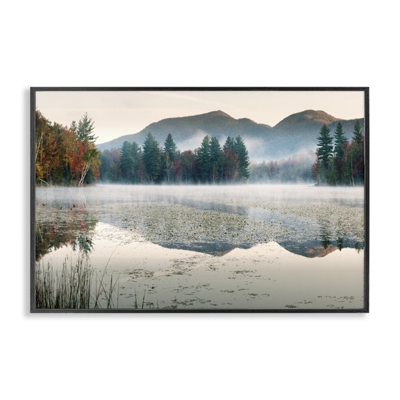 Stupell Industries Fall Foliage Circling Lake Black Framed Giclee Art, design by Shelley Lake