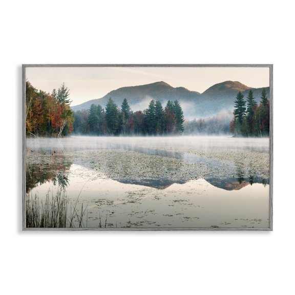 Stupell Industries Fall Foliage Circling Lake Gray Framed Giclee Art, design by Shelley Lake