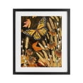 thumbnail image 1 of Stupell Industries Eclectic Fall Motif Midnight Garden Black Framed Print Under Glass, 13 x 16, by Nicole Tamarin, 1 of 8