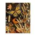thumbnail image 1 of Stupell Industries Eclectic Fall Motif Midnight Garden Canvas Art, 36 x 48, by Nicole Tamarin, 1 of 8