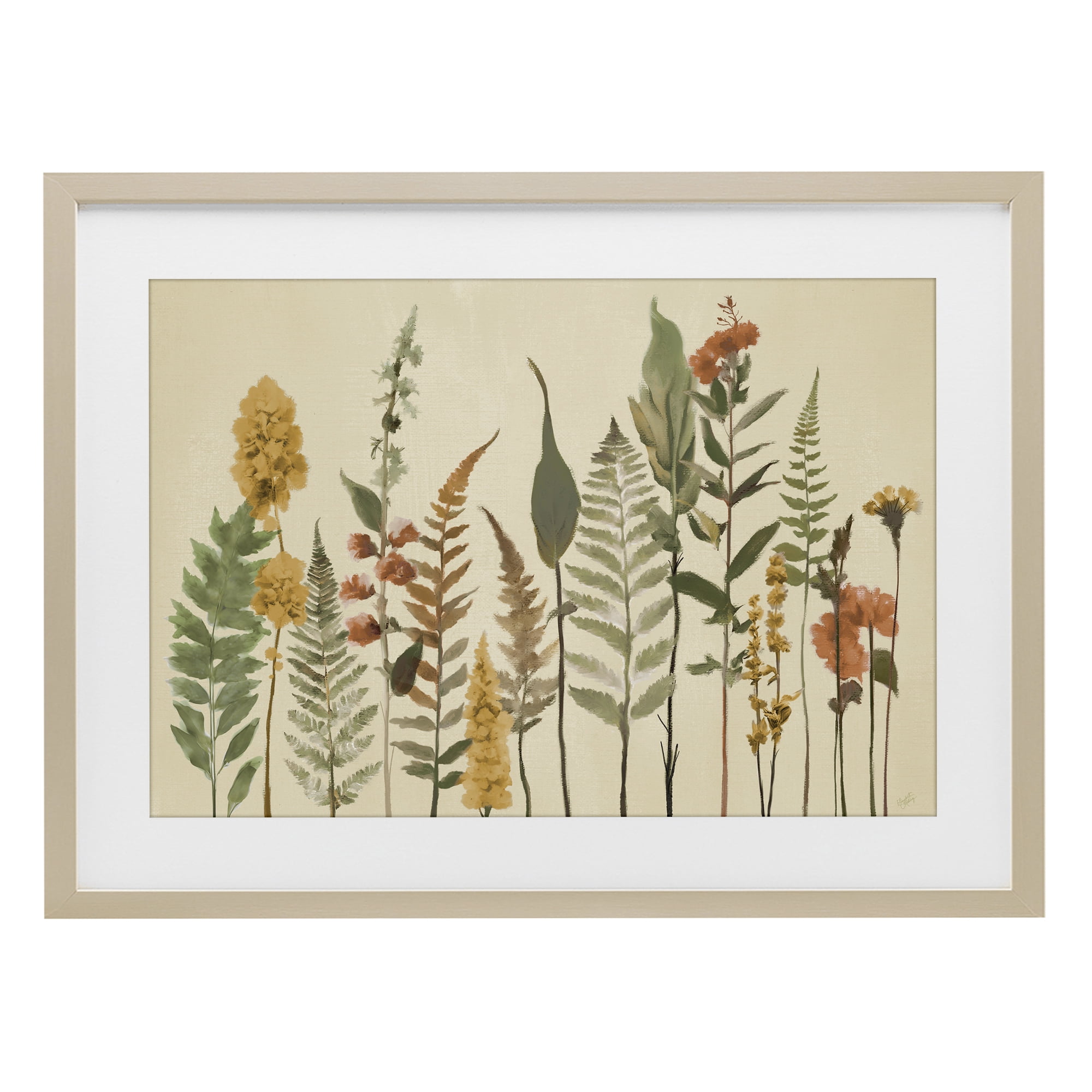 Stupell Industries Fall Toned Botanics Birch Framed Print Under Glass, design by Elizabeth Medley