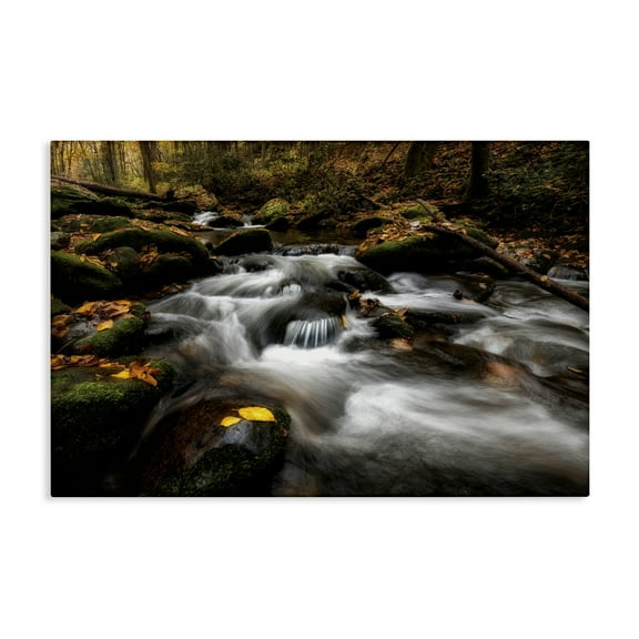 Stupell Industries Fallen Leaves on Stream Canvas Wall Art design by D. Burt, 16 x 24