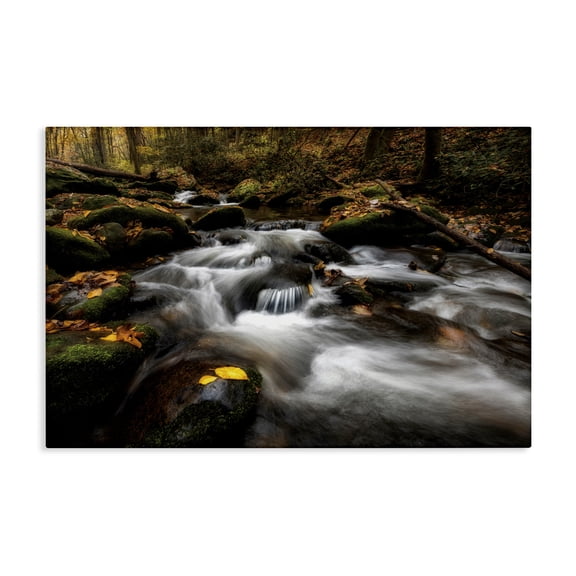 Stupell Industries Fallen Leaves on Stream Canvas Wall Art design by D. Burt, 24 x 36