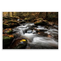 Stupell Industries Fallen Leaves on Stream Wall Plaque Art design by D. Burt, 10 x 15