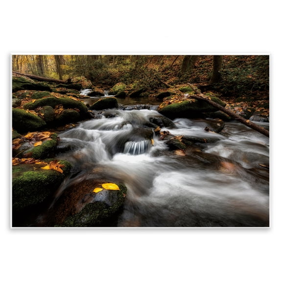 Stupell Industries Fallen Leaves on Stream Wall Plaque Art design by D. Burt, 10 x 15