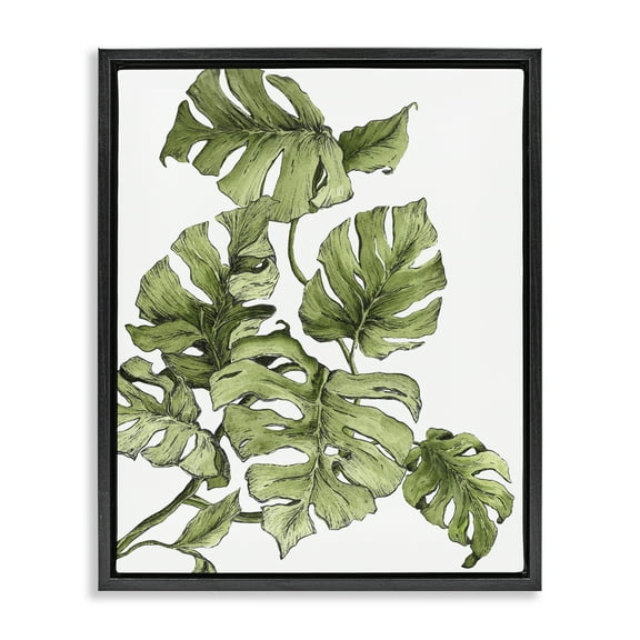 Stupell Industries Falling Monstera Leaves Botanical & Floral Painting Black Floater Framed Art Print Wall Art, 17 x 21
