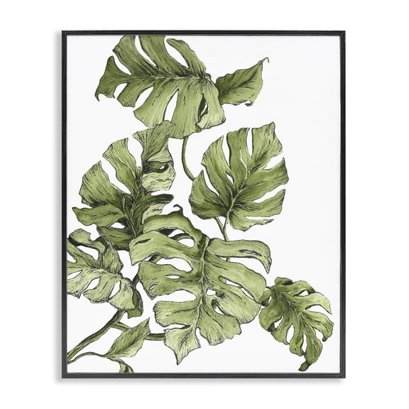 Stupell Industries Bohemian Falling Monstera Leaves Black Framed Giclee Art, 11 x 14, by Dominique Alyse Studios