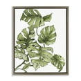 thumbnail image 1 of Stupell Industries Falling Monstera Leaves Botanical & Floral Painting Brown Floater Framed Art Print Wall Art, 17 x 21, 1 of 10