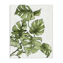 Stupell Industries Falling Monstera Leaves Botanical & Floral Painting Gallery Wrapped Canvas Art Print Wall Art, 16 x 20