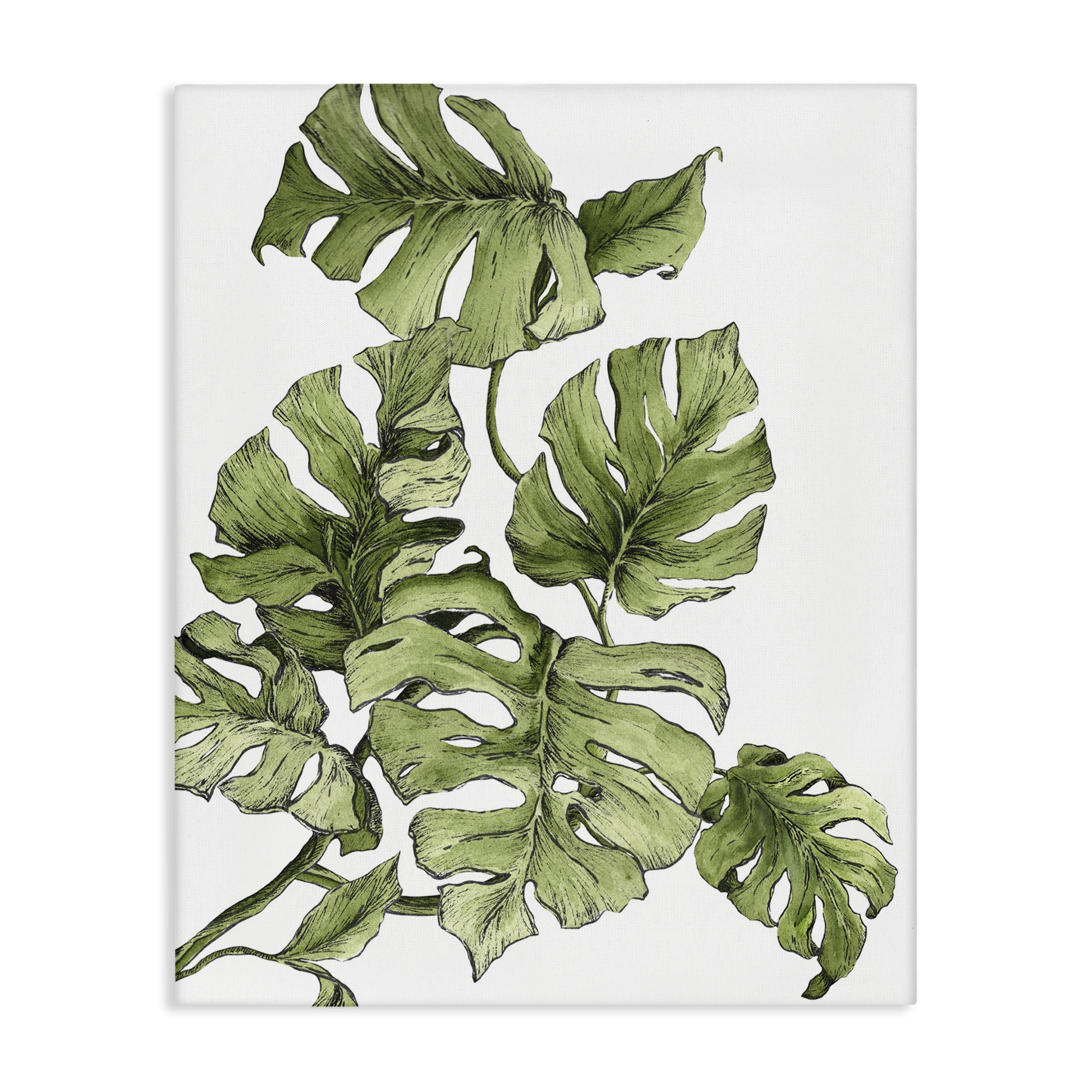 Stupell Industries Falling Monstera Leaves Botanical & Floral Painting Gallery Wrapped Canvas Art Print Wall Art, 36 x 48