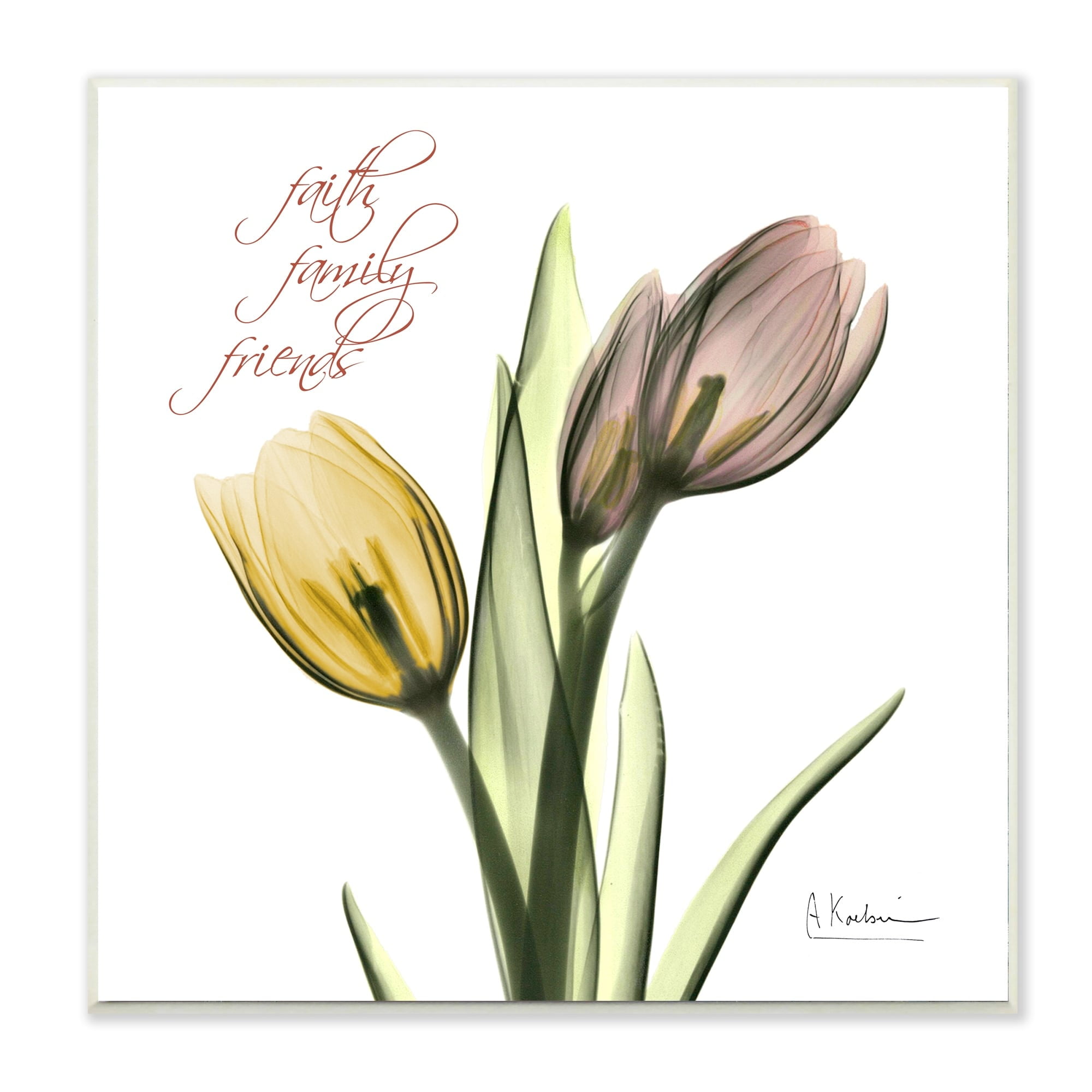 Stupell Industries Family Faith Friends Phrase Pink Yellow Tulip Flowers Wall Plaque by Albert Koetsier