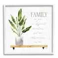 thumbnail image 1 of Stupell Industries Family Grows Different But Roots Remain Quote Green Plant, 17 x 17, Design by Marla Rae, 1 of 5