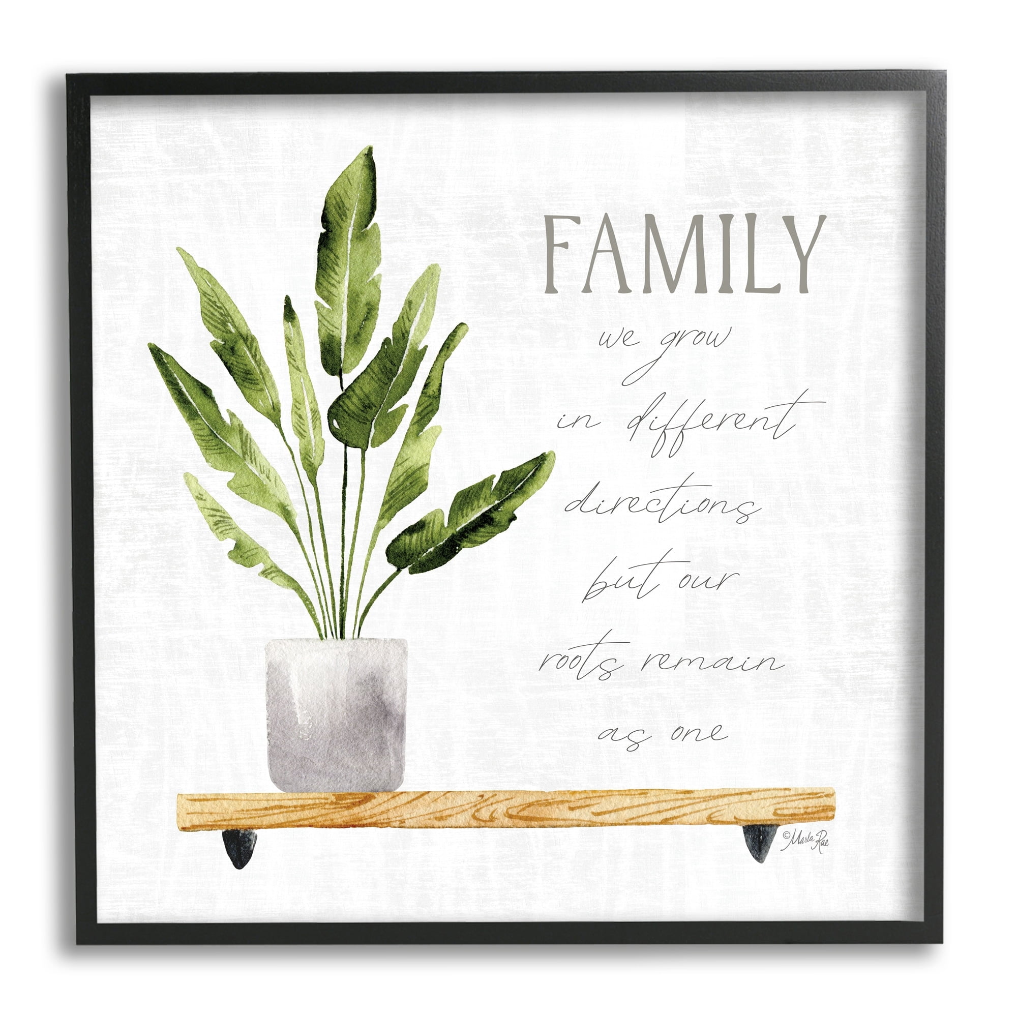 Stupell Industries Family Grows Different But Roots Remain Quote Green Plant, 24 x 24, Design by Marla Rae