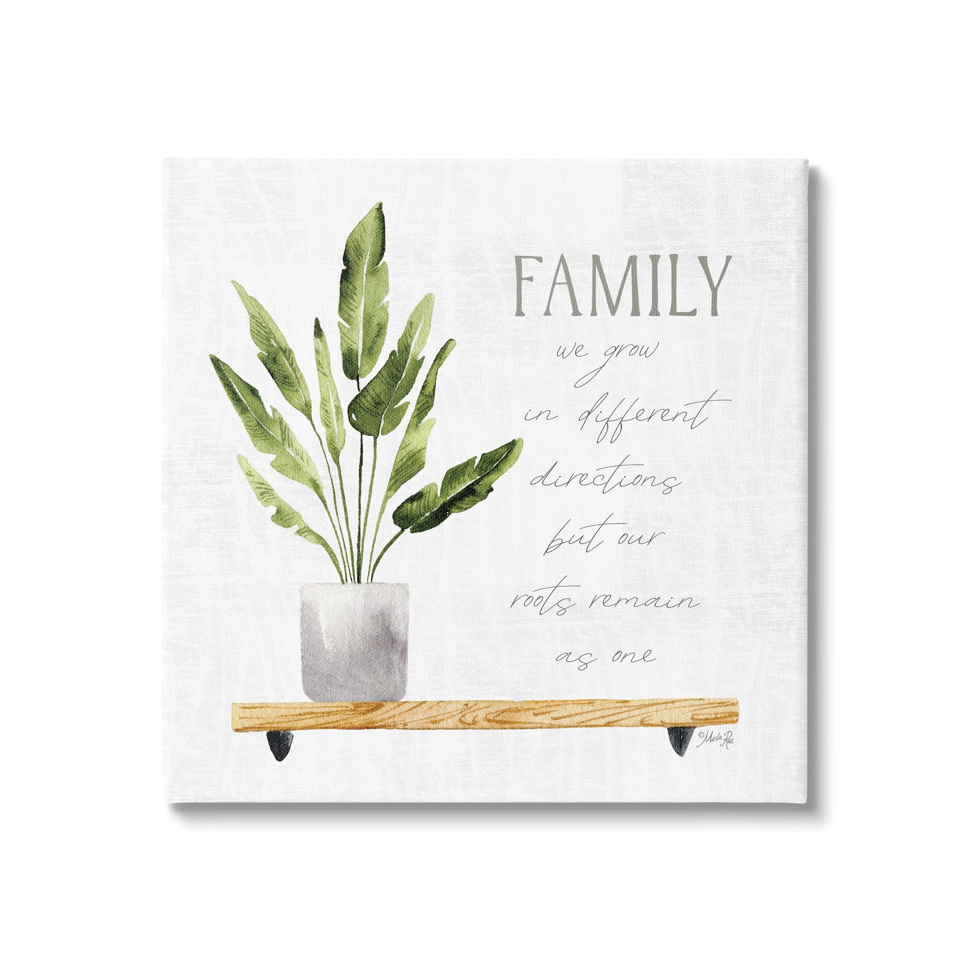 Stupell Industries Family Grows Different But Roots Remain Quote Green Plant, 30 x 30, Design by Marla Rae