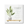 thumbnail image 1 of Stupell Industries Family Grows Different But Roots Remain Quote Green Plant Modern Painting Gallery-Wrapped Canvas Print Wall Art, 17 x 17, Design by Marla Rae, 1 of 5