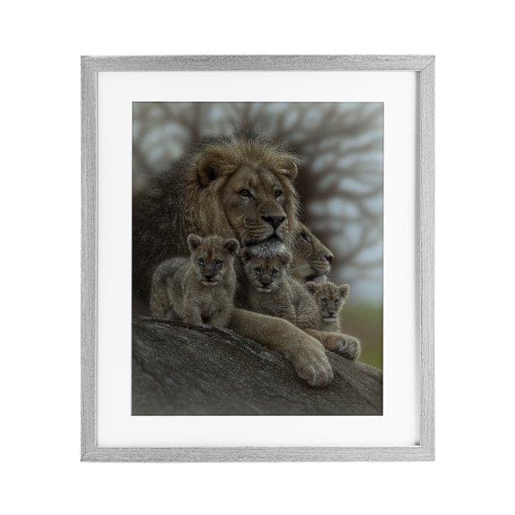 Stupell Industries Family Man Lion Cubs Gray Framed Print Under Glass design by Collin Bogle, 21 x 17