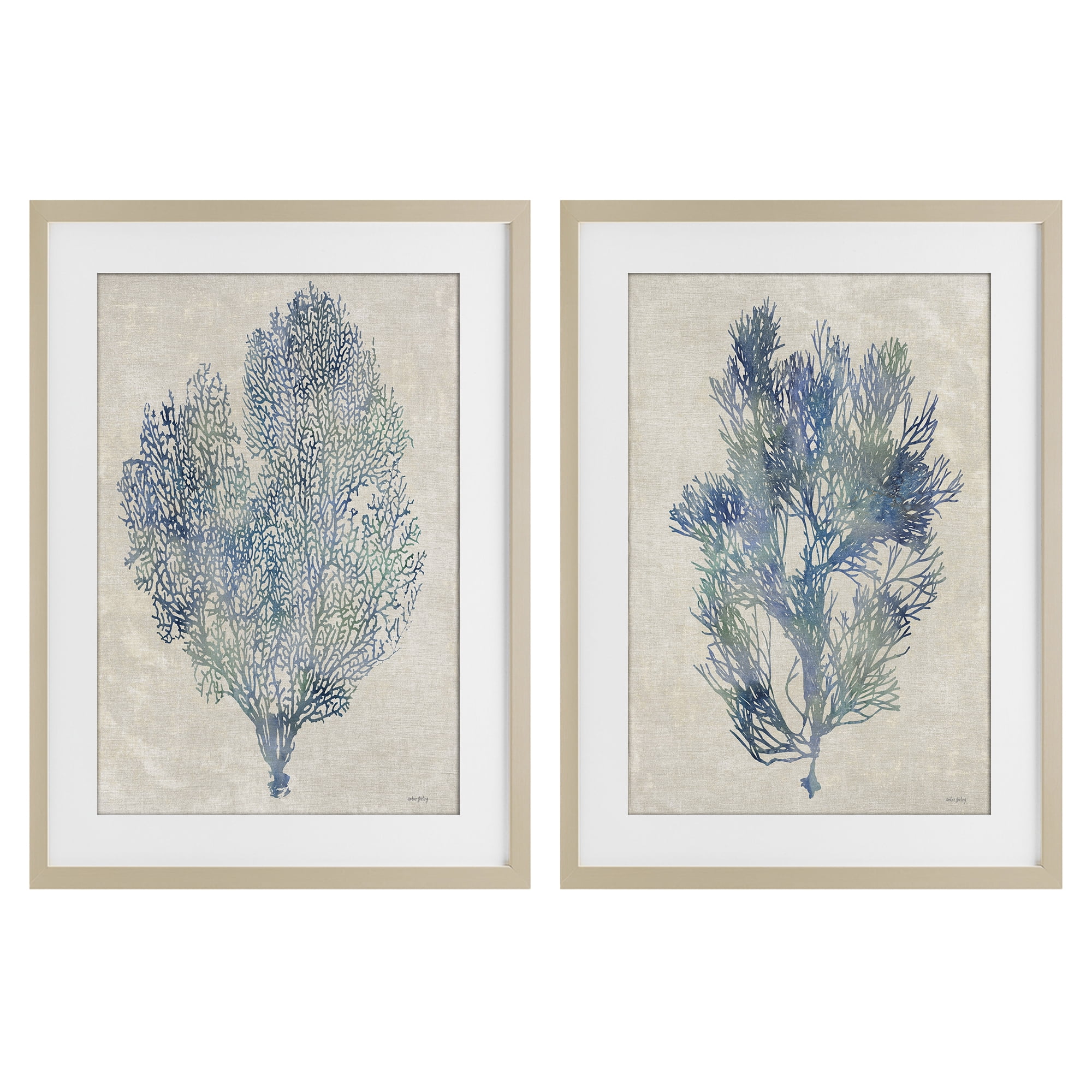 Stupell Industries Fan Coral Study in Blues 2 Piece Birch Framed Print Under Glass Set, design by Amber Sterling