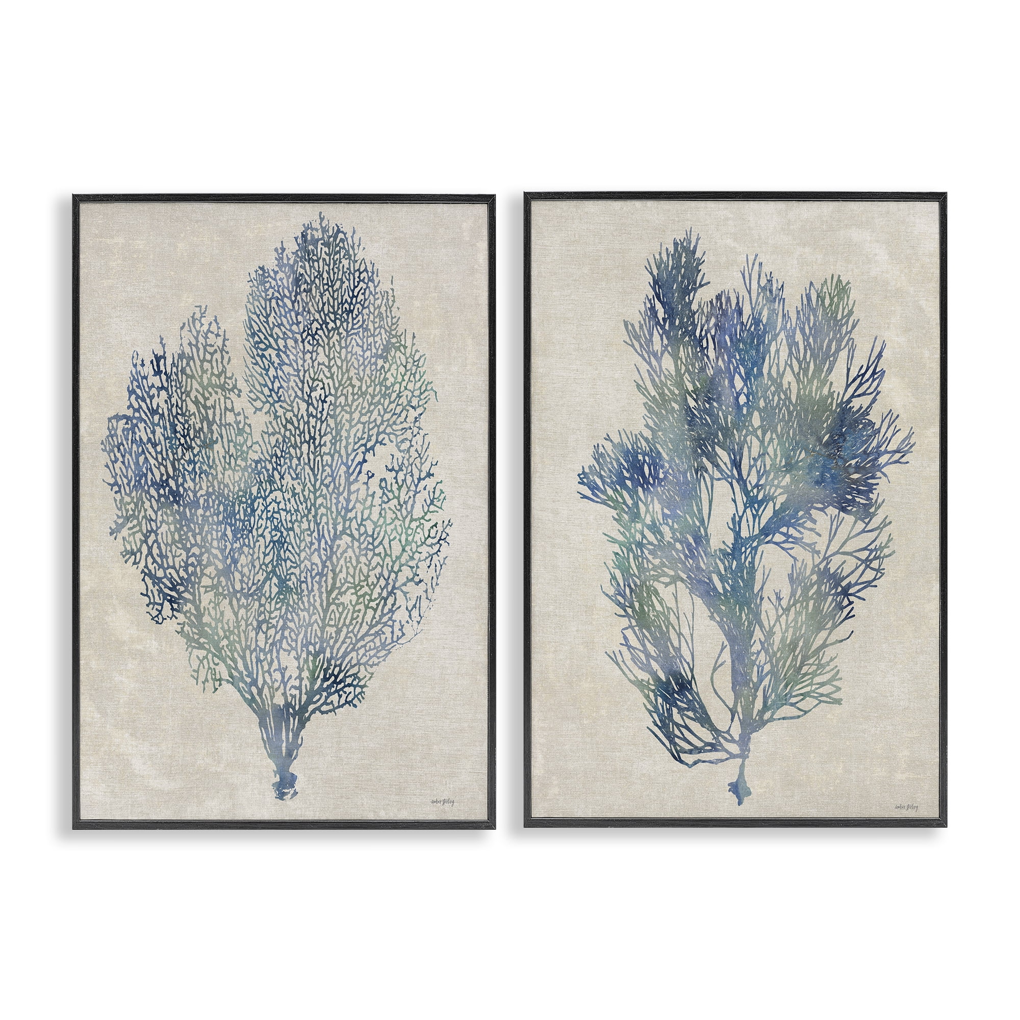 Stupell Industries Fan Coral Study in Blues 2 Piece Black Framed Giclee Art Set, design by Amber Sterling