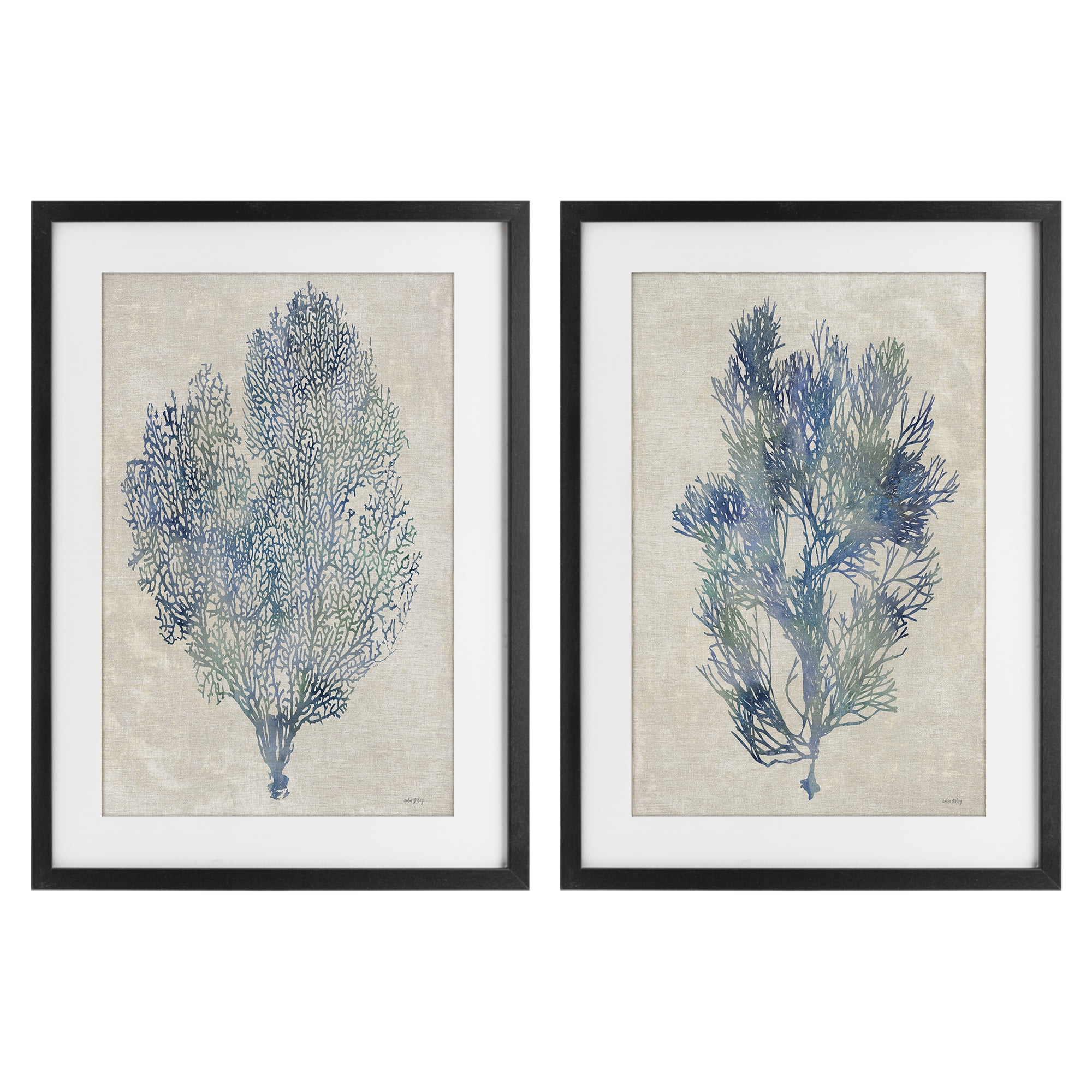 Stupell Industries Fan Coral Study in Blues 2 Piece Black Framed Print Under Glass Set, design by Amber Sterling