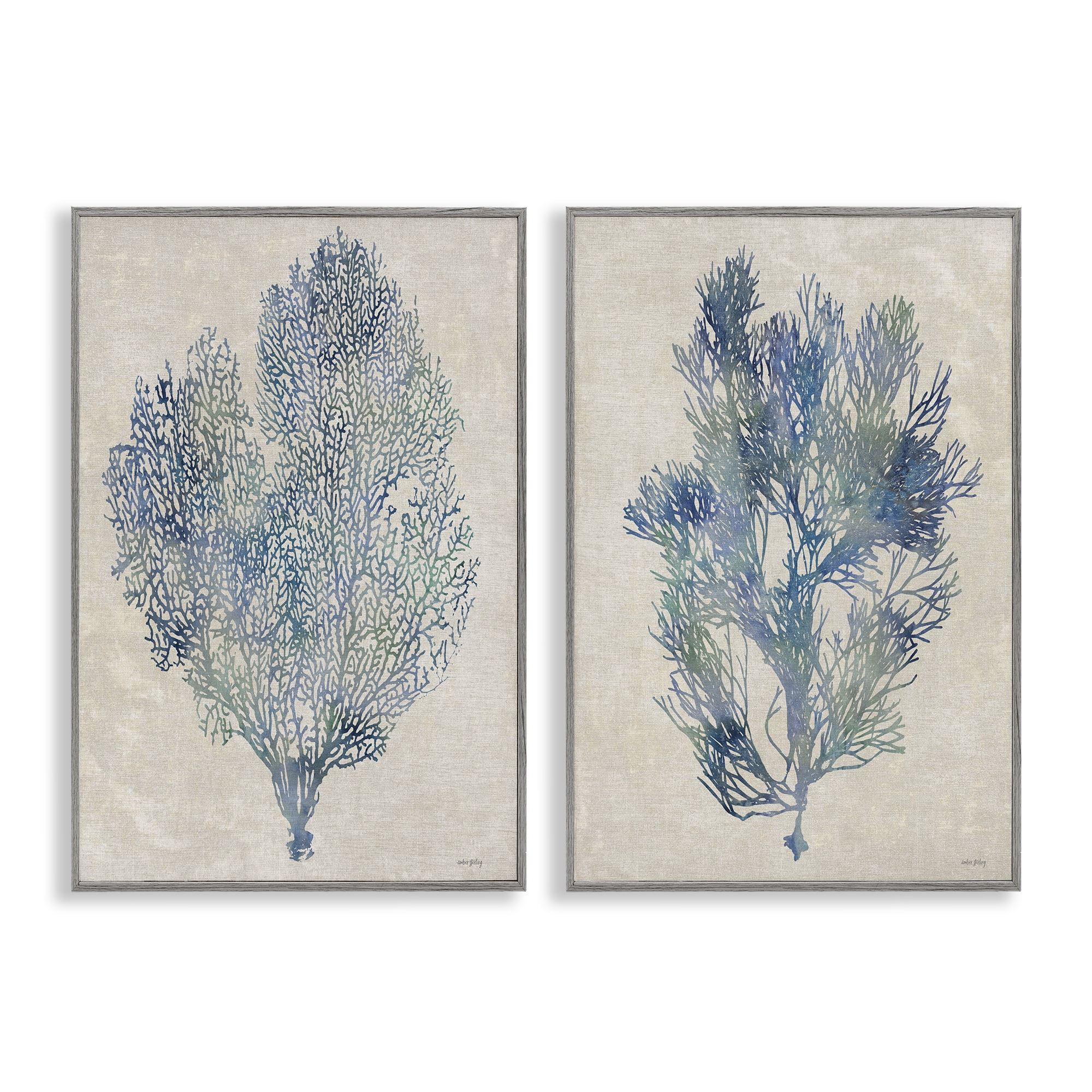 Stupell Industries Fan Coral Study in Blues 2 Piece Gray Framed Giclee Art Set, design by Amber Sterling