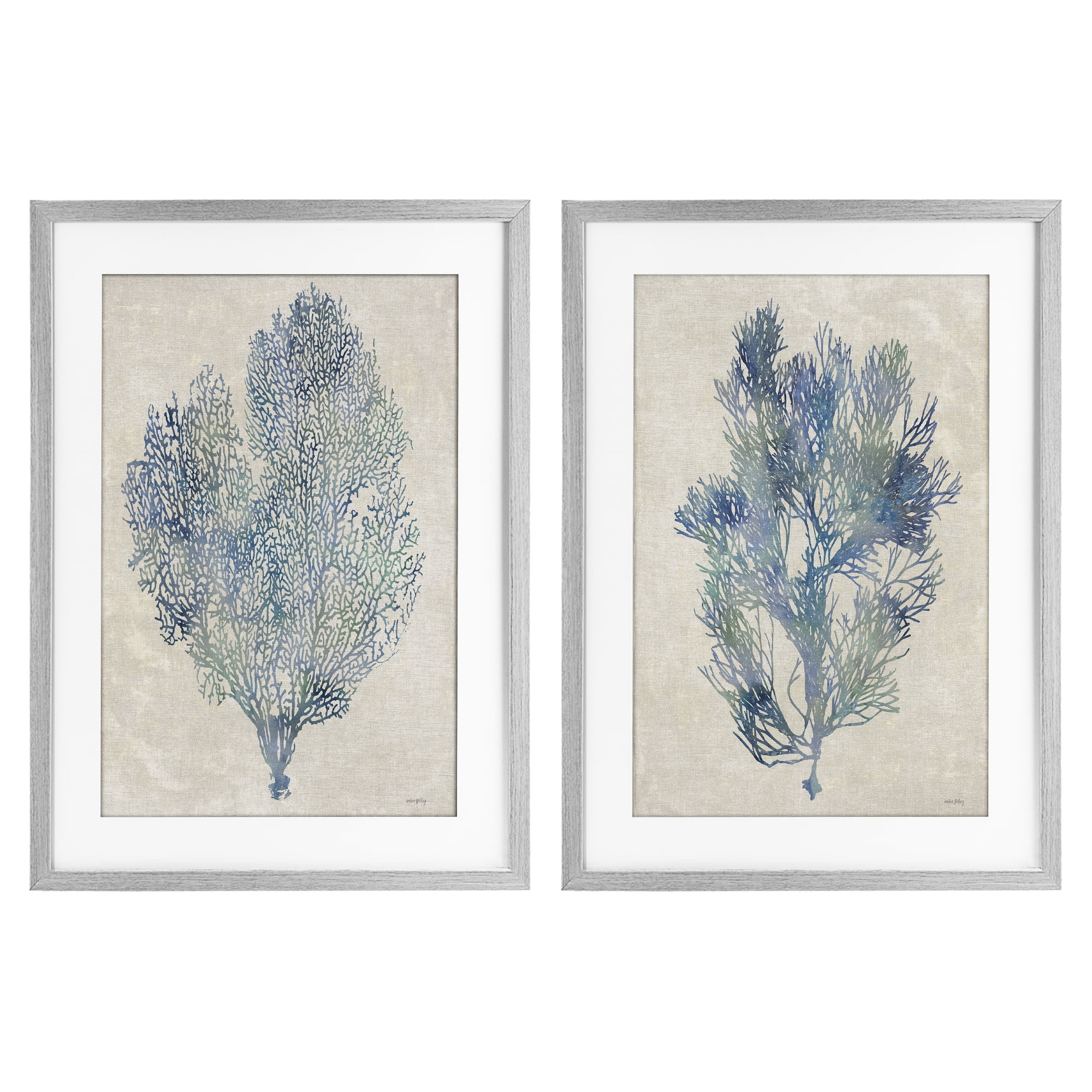 Stupell Industries Fan Coral Study in Blues 2 Piece Gray Framed Print Under Glass Set, design by Amber Sterling
