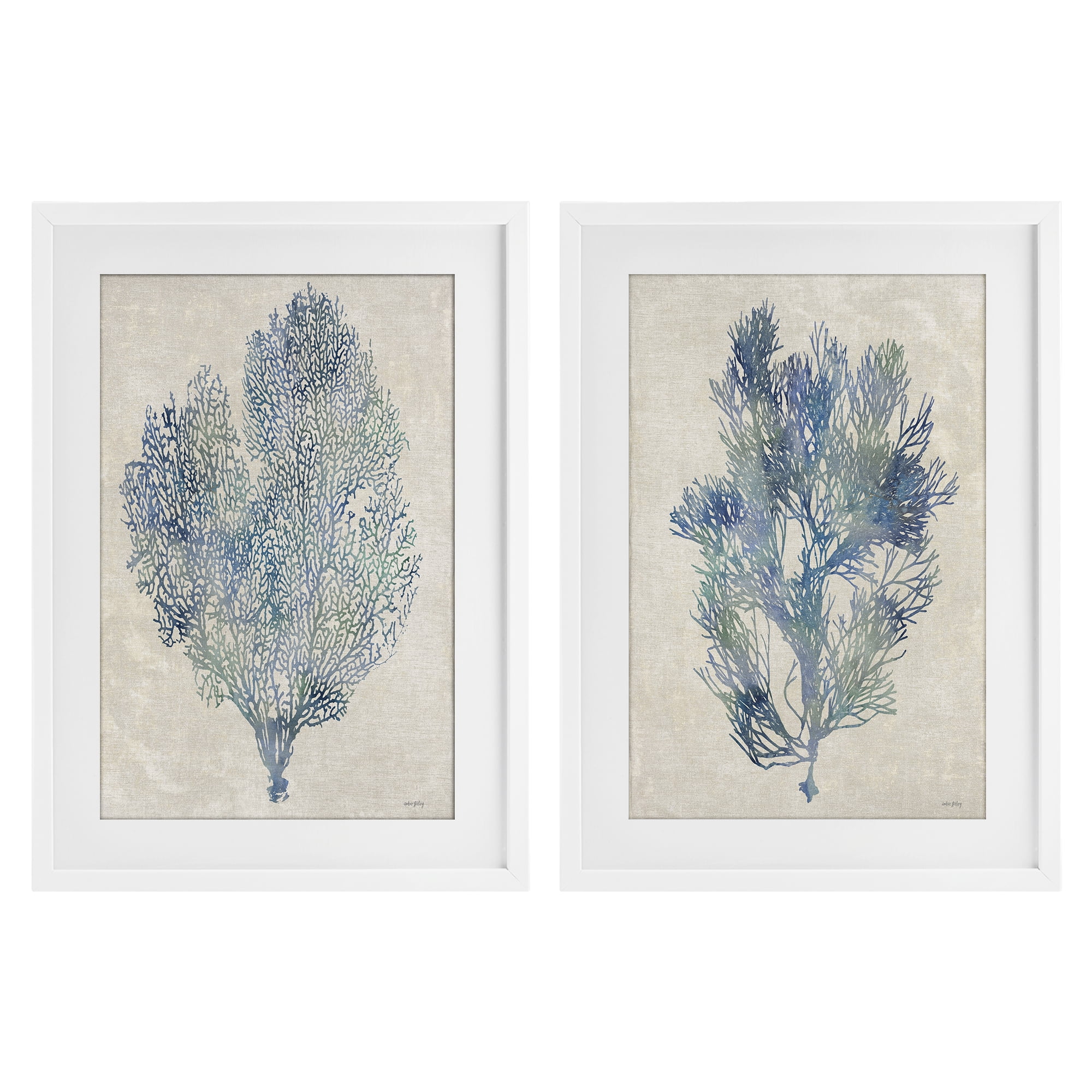Stupell Industries Fan Coral Study in Blues 2 Piece White Framed Print Under Glass Set, design by Amber Sterling