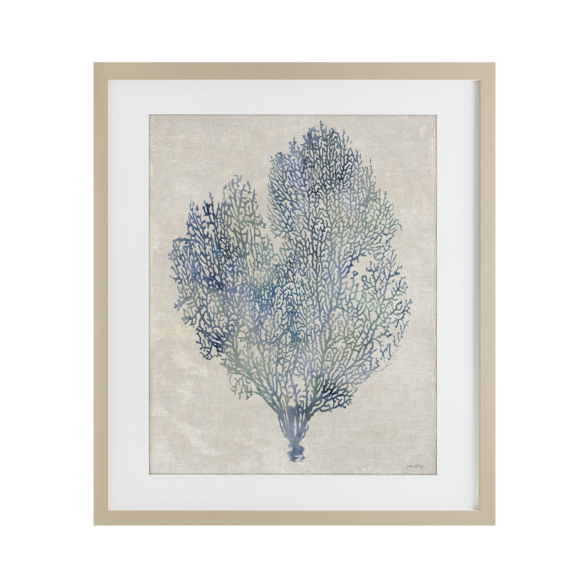 Stupell Industries Fan Coral in Blue & Green Birch Framed Print Under Glass, design by Amber Sterling