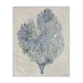 thumbnail image 1 of Stupell Industries Transitional Fan Coral in Blue & Green Canvas Art, 16 x 20, by Amber Sterling, 1 of 8