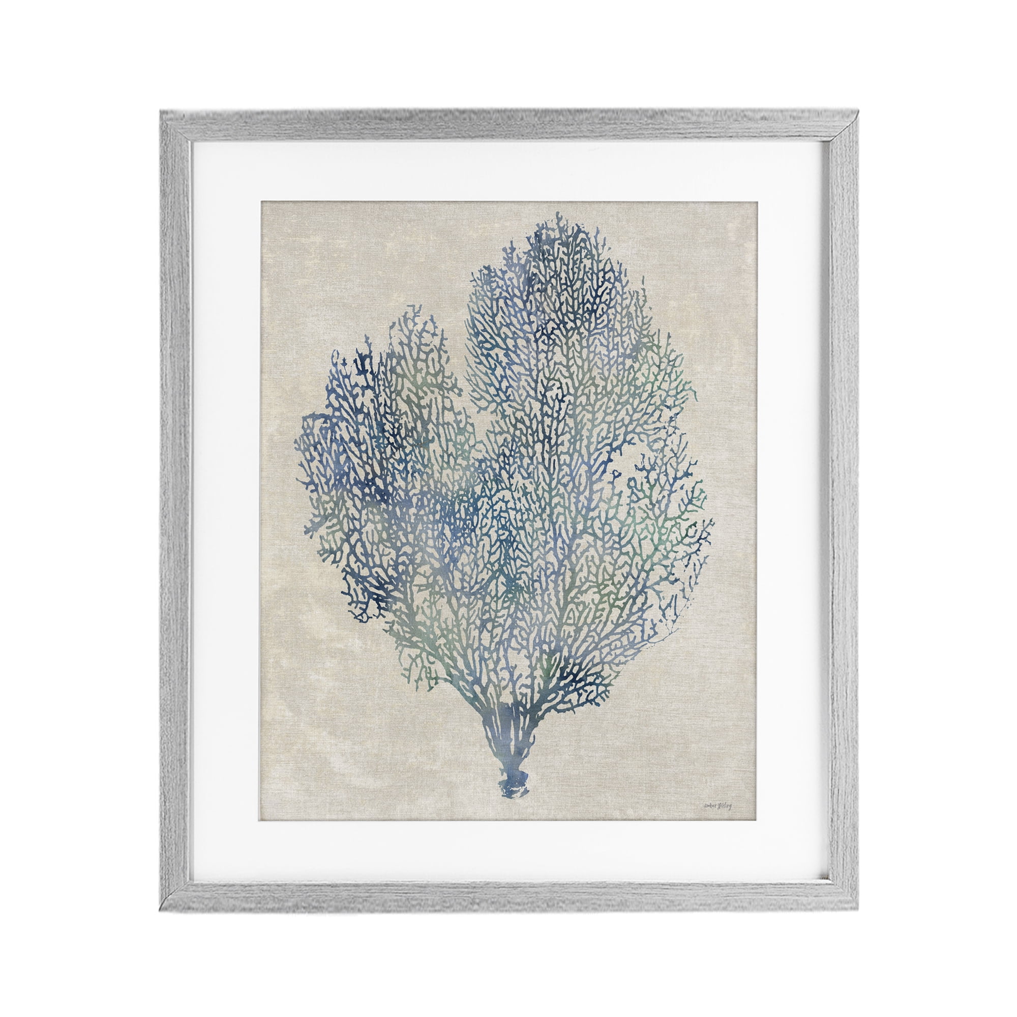 Stupell Industries Fan Coral in Blue & Green Gray Framed Print Under Glass, design by Amber Sterling