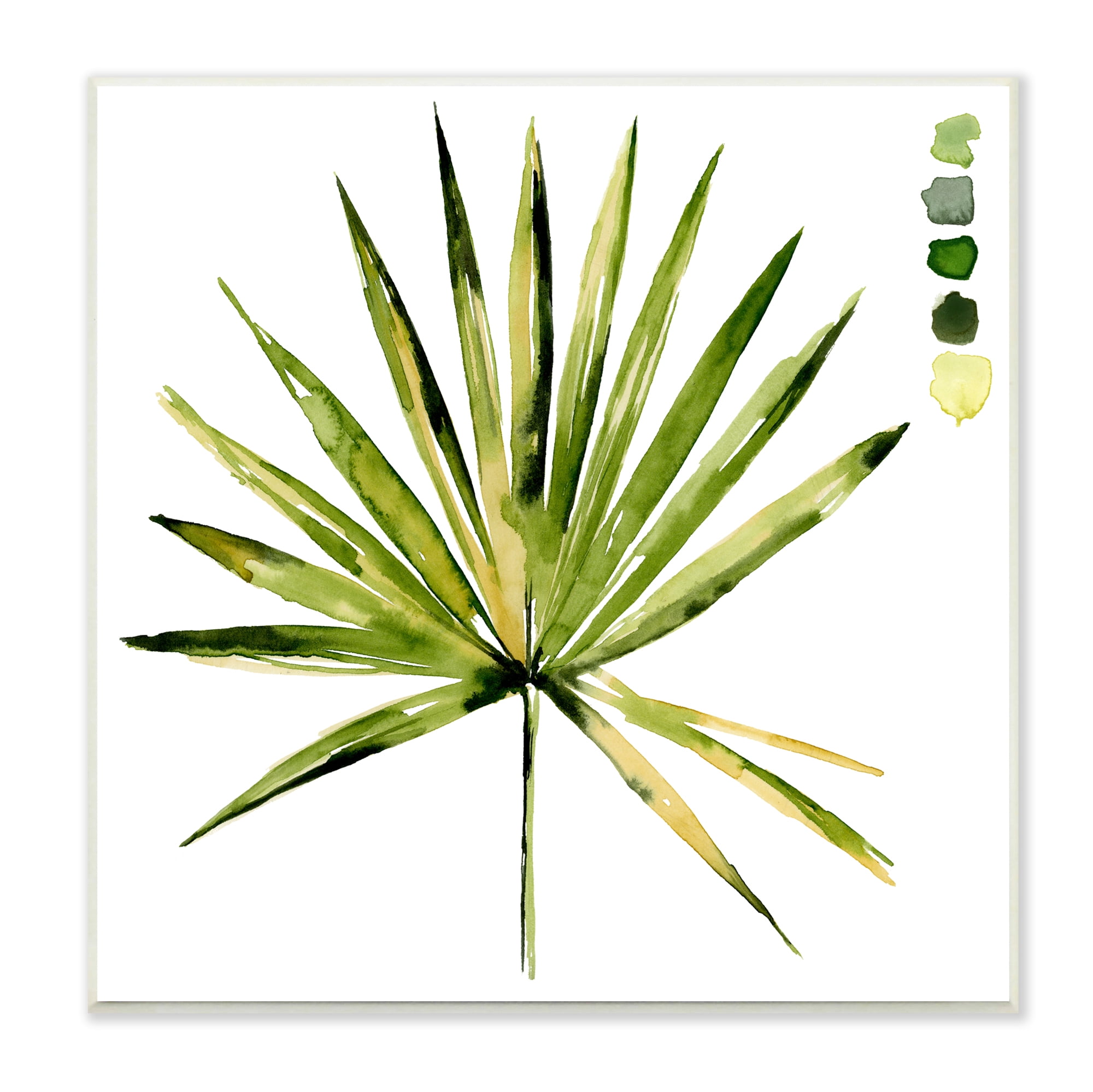 Stupell Industries Fan Palm Foliage Tropical Plant Green Palate Painting,12 x 12, Design by Jennifer Paxton Parker