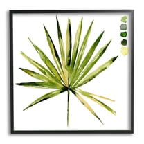 Stupell Industries Fan Palm Foliage Tropical Plant Green Palate Painting,12 x 12, Design by Jennifer Paxton Parker
