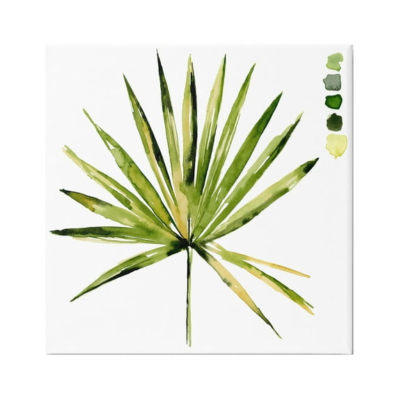 Stupell Industries Fan Palm Foliage Tropical Plant Green Palate Painting,36 x 36, Design by Jennifer Paxton Parker