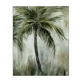 thumbnail image 1 of Stupell Industries Transitional Fanned Palms Impression Canvas Art, 16 x 20, by Nan, 1 of 8